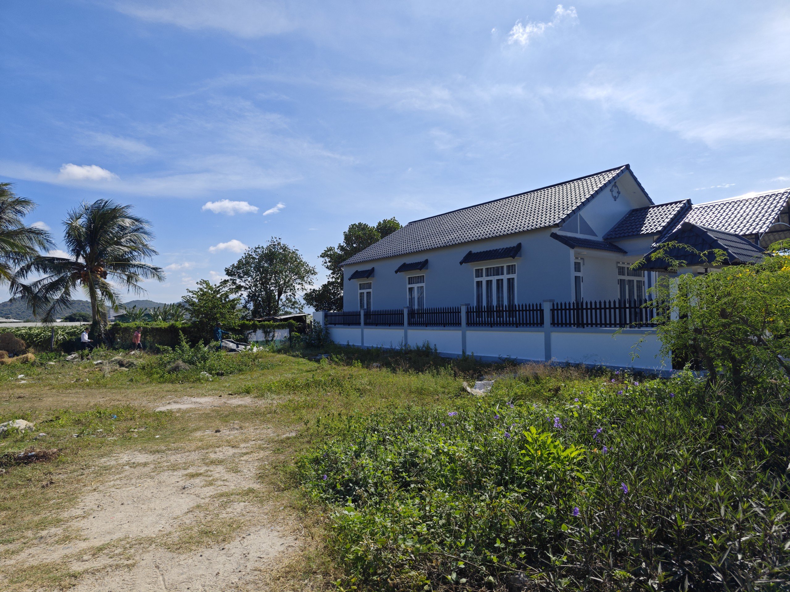 Nhà tôi có lô đất cần bán ngay ở Tuy Phong, Bình Thuận giá bớt lộc 750tr 2