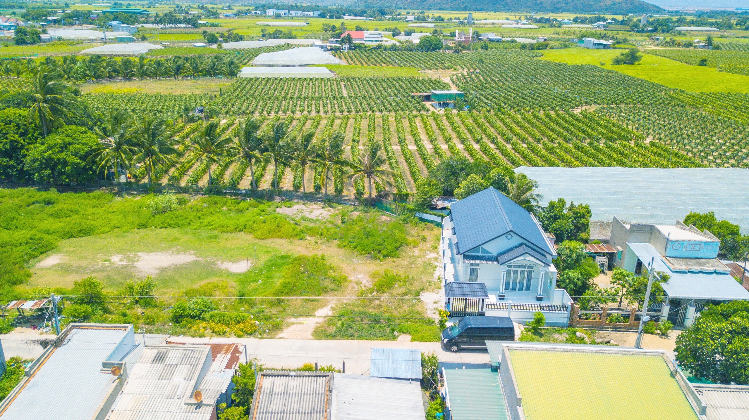Nhà tôi có lô đất cần bán ngay ở Tuy Phong, Bình Thuận giá bớt lộc 750tr 3