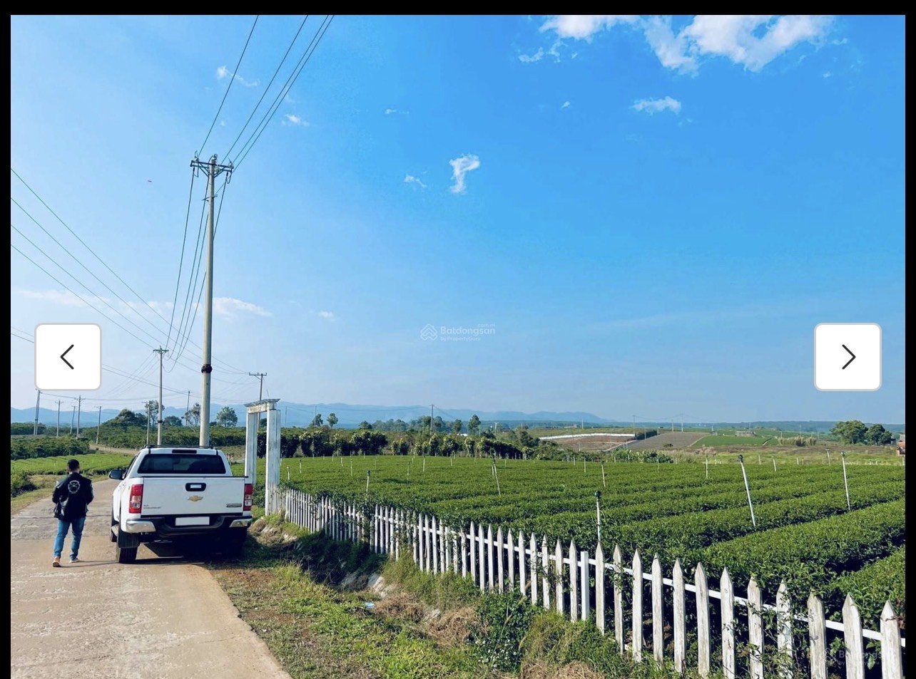 Cần bán Đất Bảo Lộc, Lâm Đồng, Diện tích 10000m², Giá 200000000 Tỷ 3