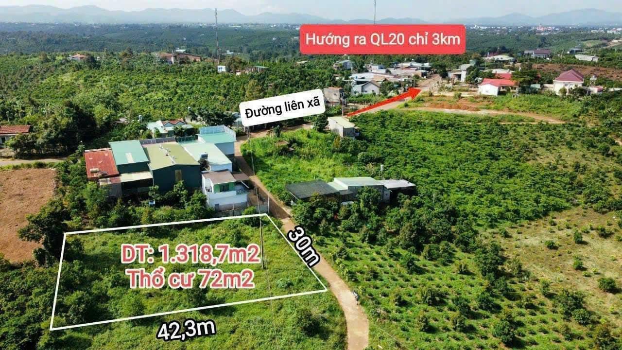 Cần bán Đất Bảo Lâm, Lâm Đồng, Giá Thương lượng