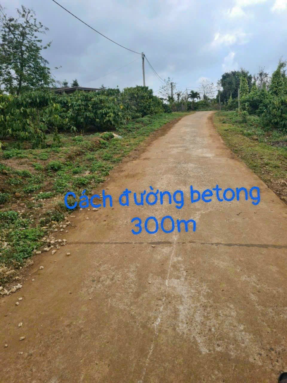 Cần bán Đất đường Quốc Lộ 29, Xã Tam Giang, Diện tích 500m², Giá 79 Triệu