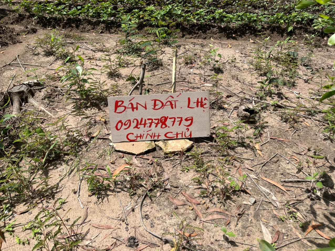 Chính chủ cần bán đất nền tại Thuộc xã Tân Hiệp, Huyện Phú giáo, Tỉnh Bình Dương 3