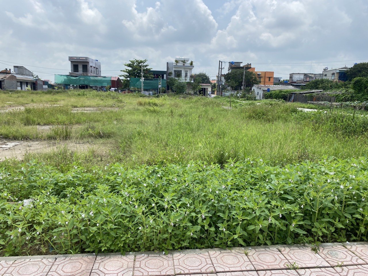 Chỉ từ 5,9tr/m2 sở hữu ngay lô đất rộng xây nhà vườn thoải mái Ven TP Thái Bình 2