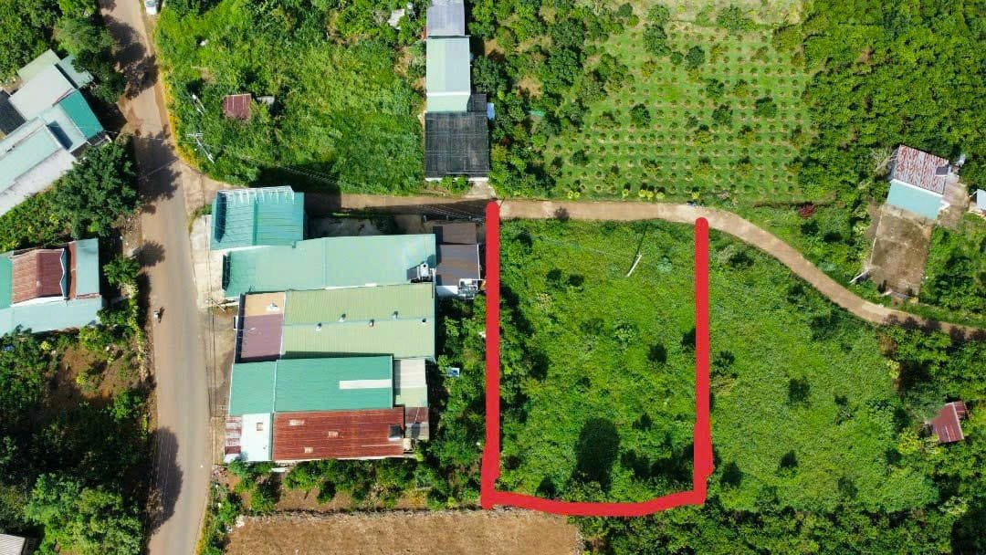 Cần bán Đất Bảo Lâm, Lâm Đồng, Diện tích 1300m², Giá 900.000.000 Triệu 2