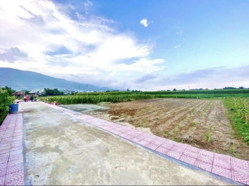 Chính chủ bán đất Đại Lộc View Sông Vu Gia,Cách Khu Công Nghiệp 1km120m2-Đã có sổ 3