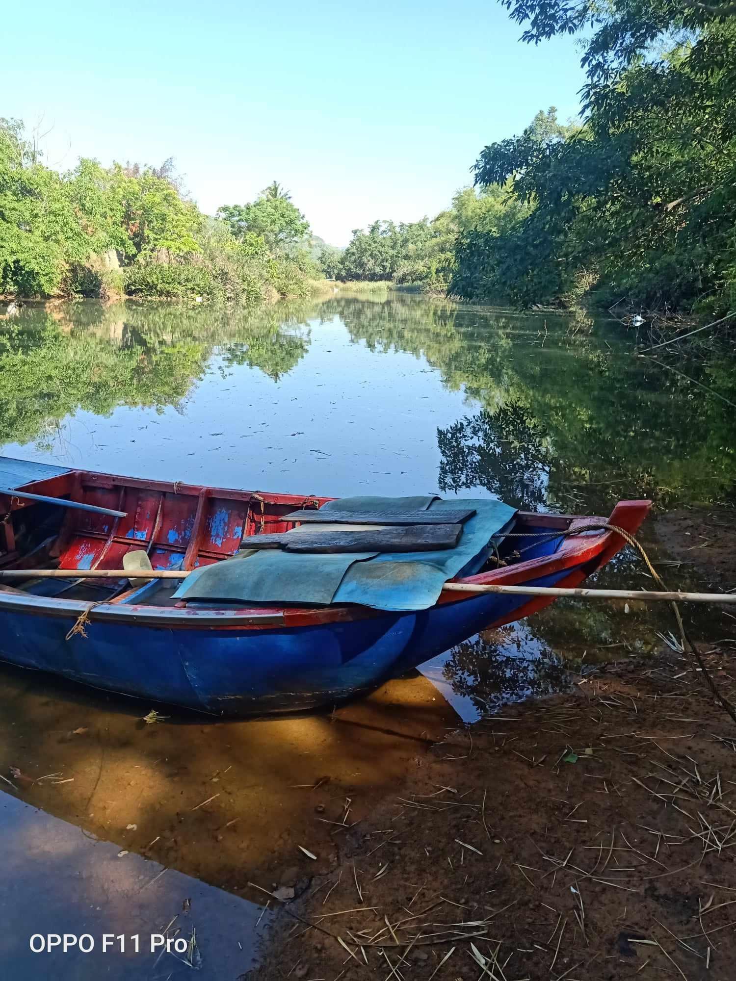 ĐẤT CHÍNH CHỦ -Sở Hữu Ngay Mảnh Đất Rộng Lớn Thuộc phường  Hoài Hương, thị xã  Hoài Nhơn, Bình Định 2