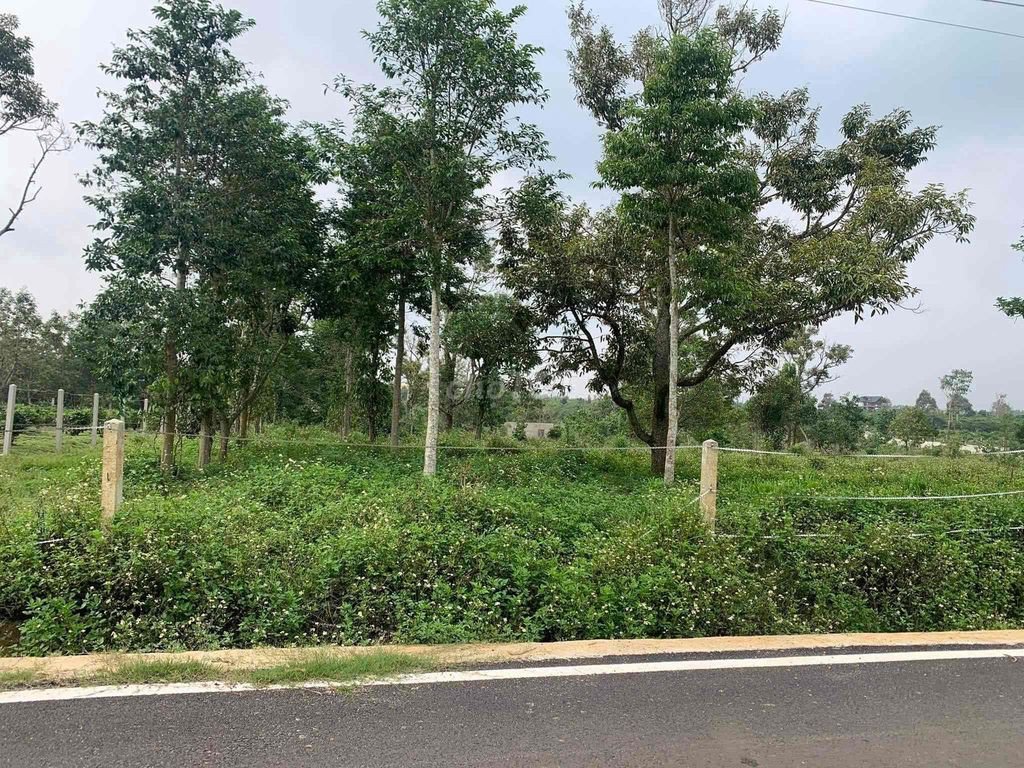 Cần bán Đất Bảo Lộc, Lâm Đồng, Diện tích 4204m², Giá 120000000 Tỷ 4