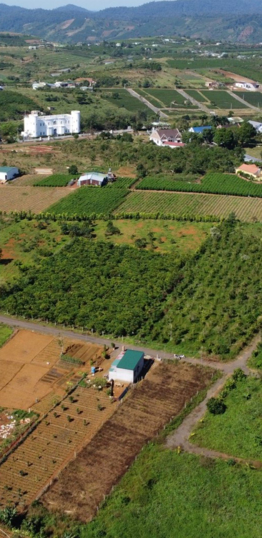 Cần bán Đất Bảo Lộc, Lâm Đồng, Diện tích 1000m², Giá 1.100.000.000 Tỷ 4