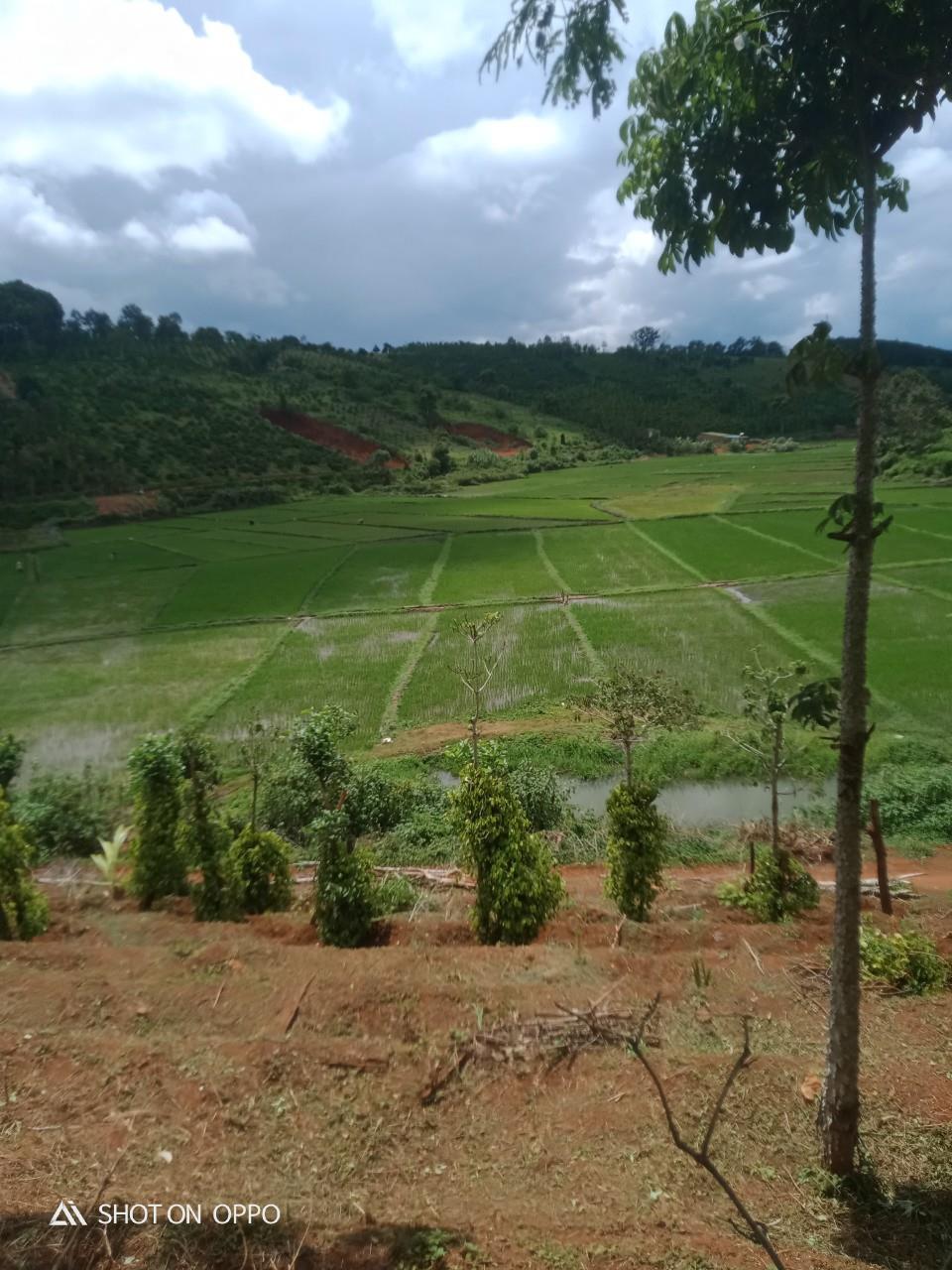 ĐẤT ĐẸP - GIÁ TỐT - Cần Bán Lô Đất Vị Trí Mặt Đường  Tại Xã Thuận An, Huyện Đắk Mil, Đắk Nông 1