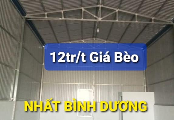 Nhà Cho thuê 8,1 x 25 = 12tr/t Vĩnh Tân Tân Uyên Bình Dương 5