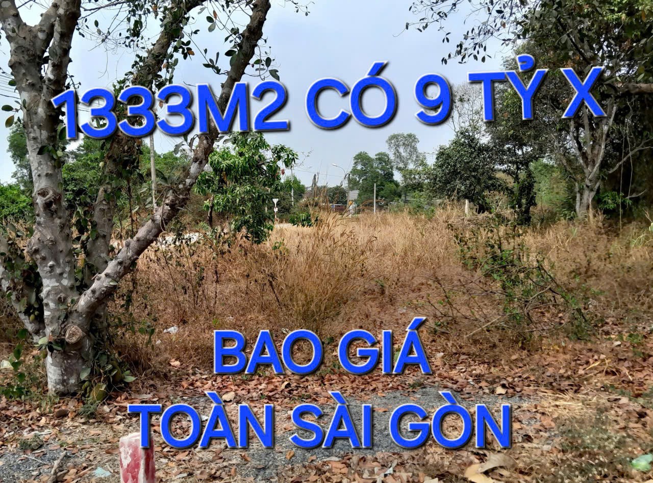 Bao Giá Toàn Sài Gòn 1333m2 Đất 9 tỷ x Nguyễn Thị Nói Củ Chi TPHCM 1