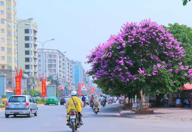 Bán nhà Lê Quang Đạo, Mỹ Đình, Lô góc 3 thoáng, Gần oto, Đầy đủ tiện ích, Tặng full nội thất, 50m2 1