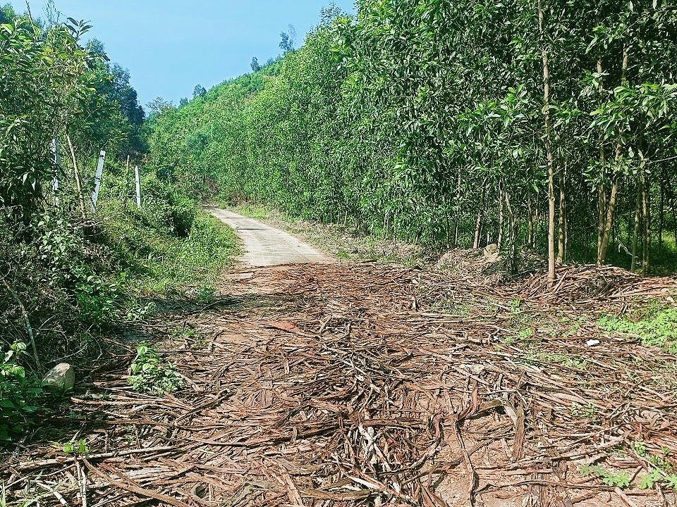 Bán đất vườn Khánh Đông giá rẻ gần Tỉnh Lộ 8 - đường bê tông 5m thông 1