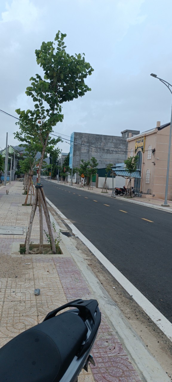 Chủ cắt lỗ bán gấp lô đất taí định cư Thành Hải đường 16 mét, tp Phan Rang -Tháp Chàm ,Ninh Thuận