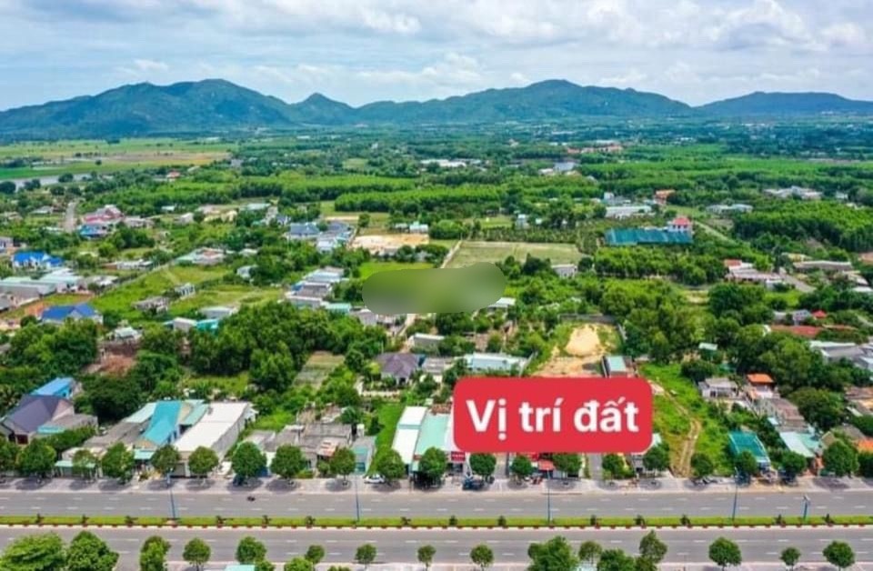 Cần bán Đất Đất Đỏ, Bà Rịa Vũng Tàu, Diện tích 1036m², Giá Thương lượng 3