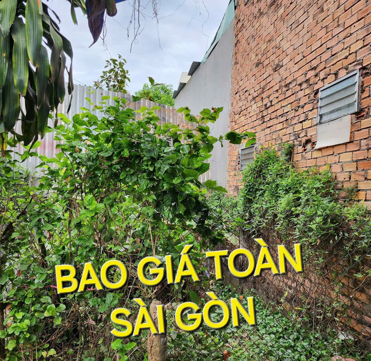 Bao Giá Toàn Sài Gòn - Đất 235m2 có 1,75 tỷ TL8 Hòa Phú Củ Chi TpHCM 3