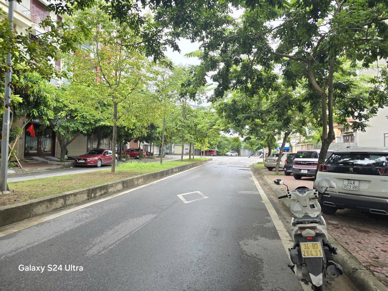 Bán lô đất biệt thự mặt đường đôi Mai Hắc Đế, KĐT Tuệ Tĩnh, Tây HP, 195m2, mt 12m