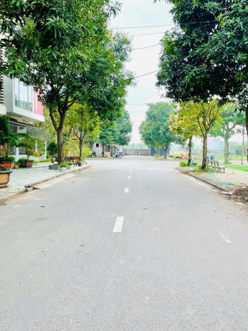 Còn Duy Nhất Một Lô Tuyện Phẩm 113 Cực Đẹp, Chuẩn Giá: 0835459289