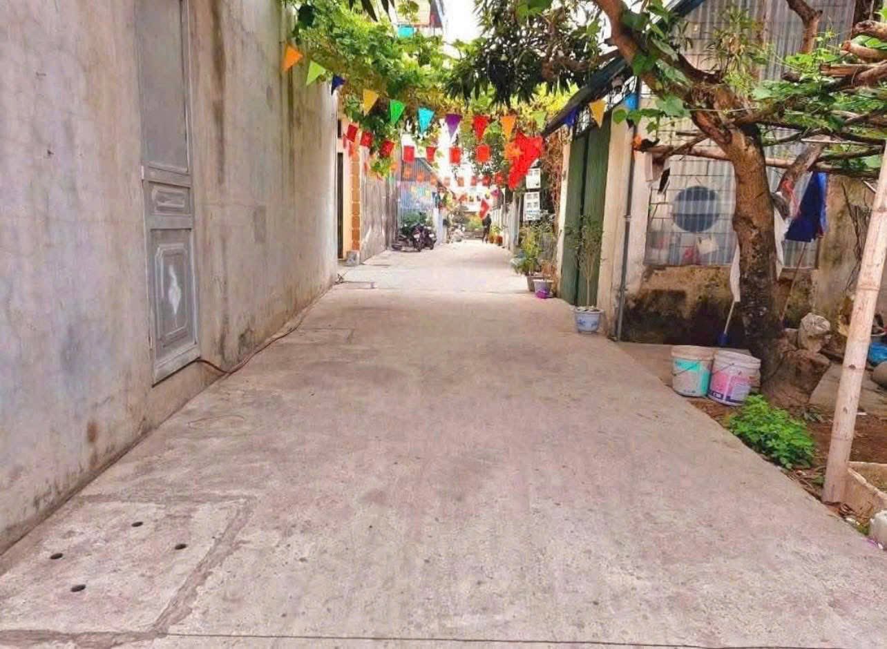 Bán đất ngõ 167 phố Bình Lộc, ph Lê Thanh Nghị mới, Tây Hải Phòng, 82.5m2, mt 4.5m, 1.75 tỷ 3