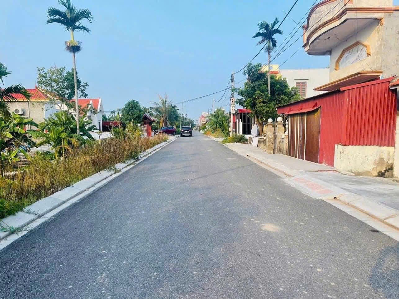 Bán đất khu đấu giá Đồng Rồi, xã Ngũ Đoan, Hải Phòng 2