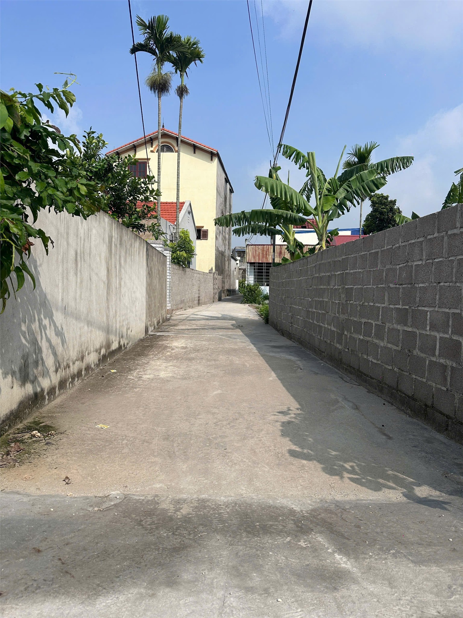 5xx Triệu Có Ngay Lô Đất 67m² (60m² Thổ Cư) Tại Úc Gián – Thuận Thiên – Kiến Thụy LH 0793250588 4
