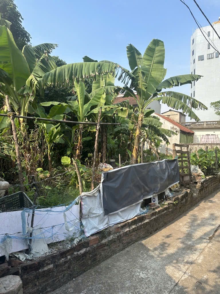 ĐẤT MẶT TIỀN RỘNG THÊNH THANG (GIÁ GẦN 16 TỶ)– CỰC KỲ PHÙ HỢP CHIA LÔ ĐẦU TƯ 2