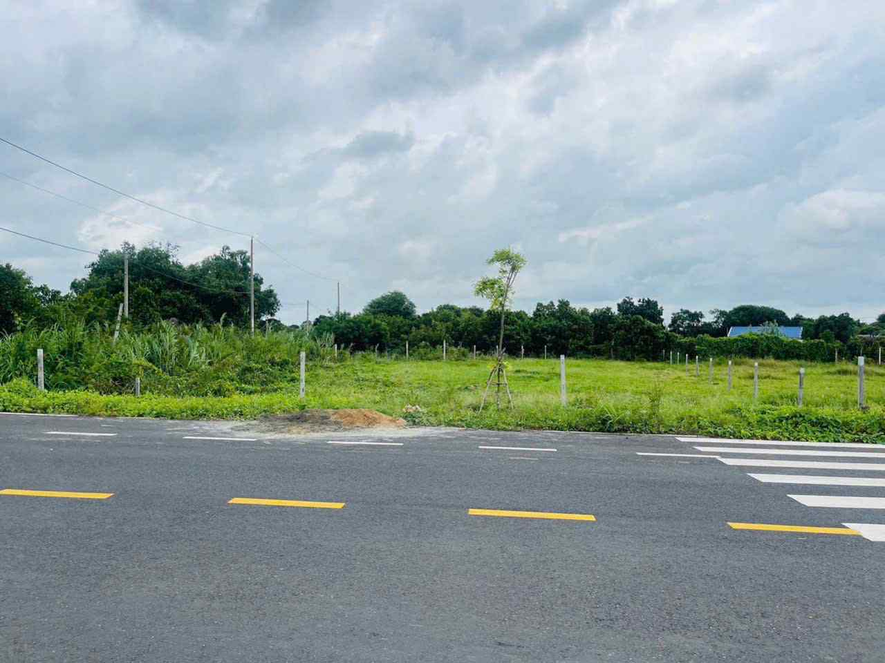 Cần bán Đất đường Long Tân-Láng Dài, Xã Phước Long Thọ, Diện tích 341m², Giá 1.3 Tỷ 2