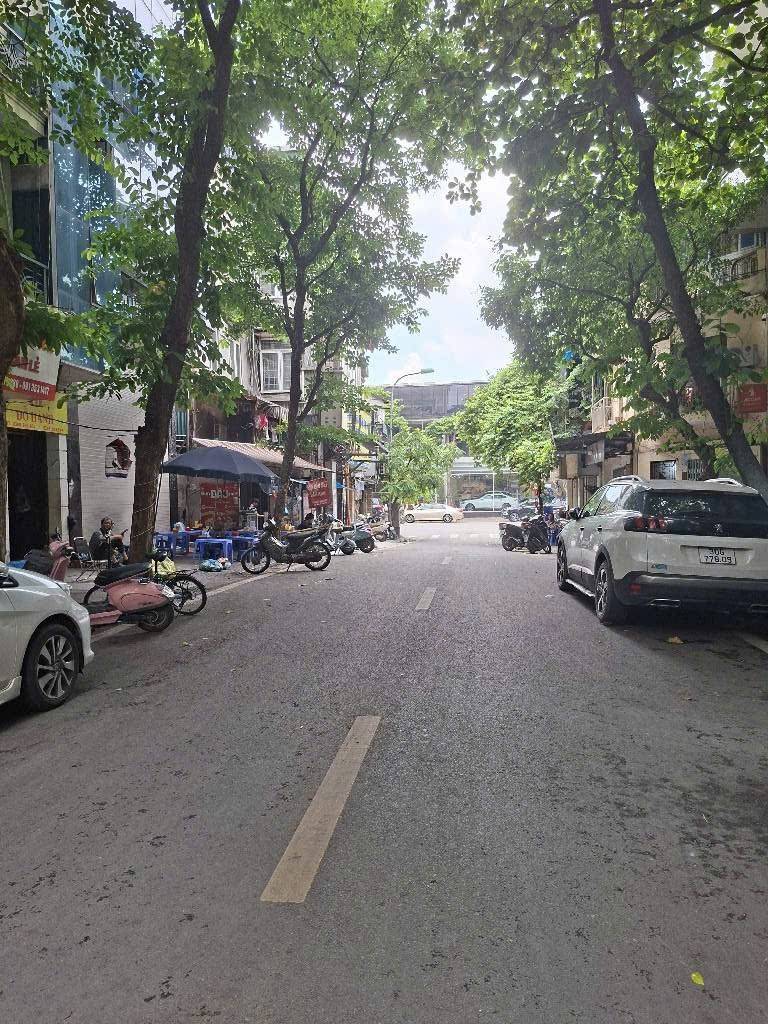 Cần bán Nhà mặt tiền đường Đỗ Hành, Phường Nguyễn Du, Diện tích 141m², Giá 106 Tỷ