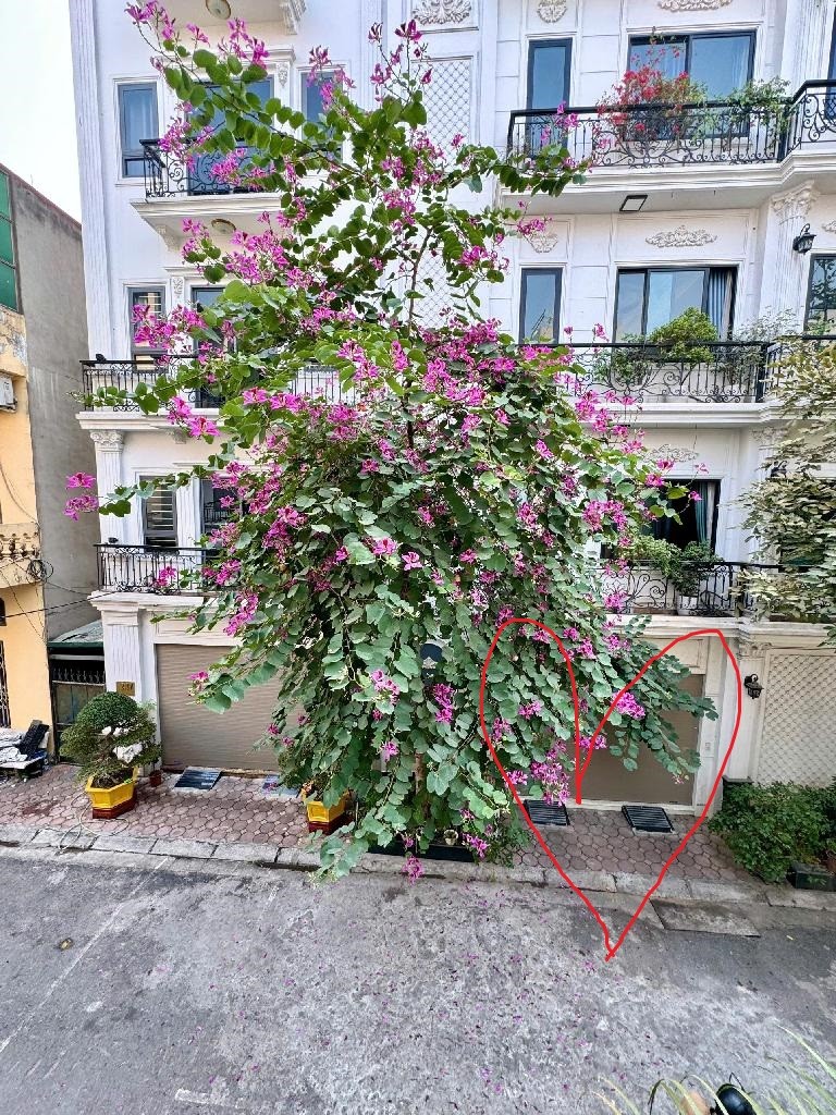 PHÚC ĐỒNG,LONG BIÊN 16tỷ 60m,PHÂN LÔ Ô TÔ VỈA HÈ,VỪA Ở VỪA KINH DOANH CHO THUÊ ĐỈNH 2