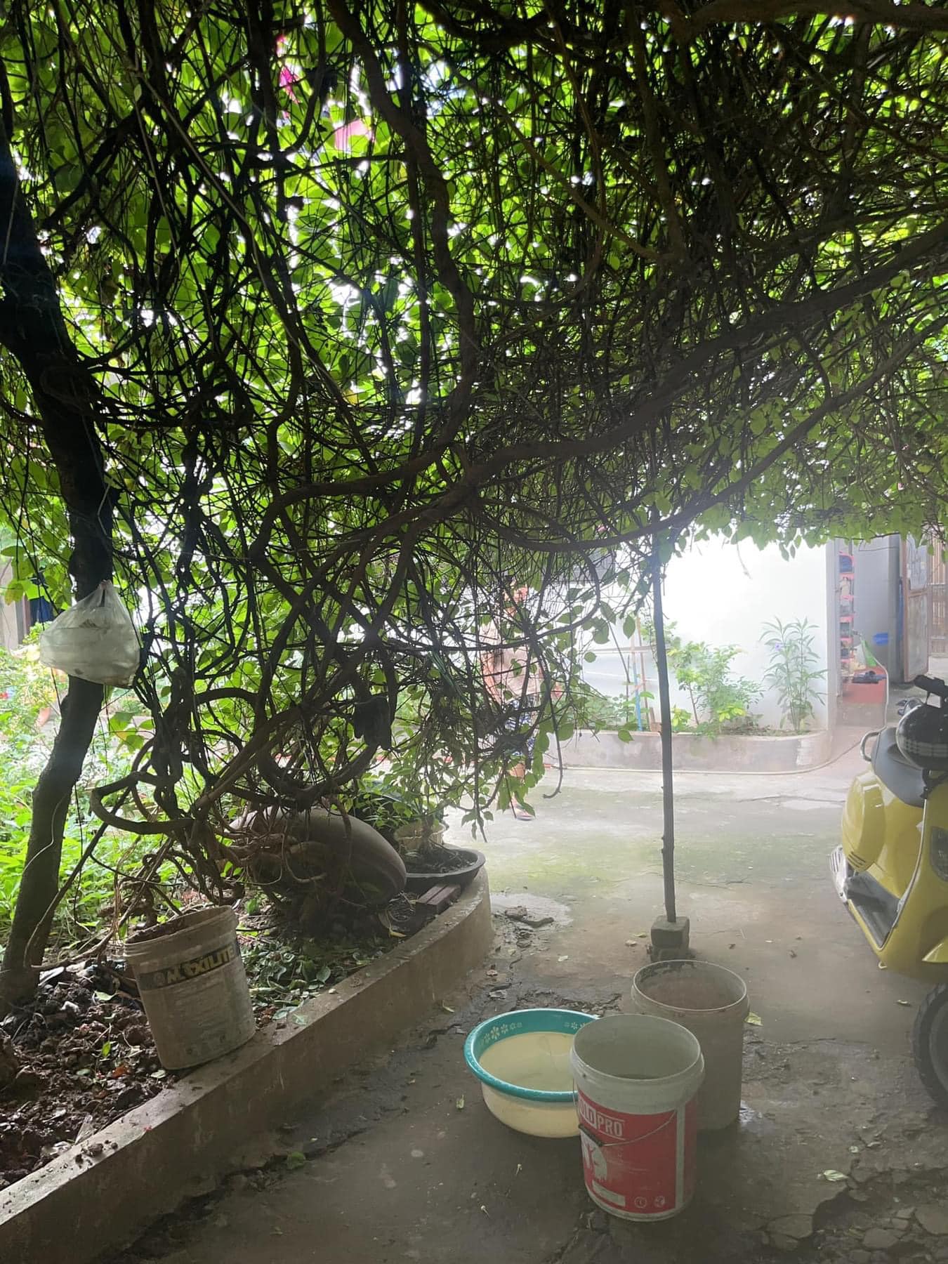 CẦN BÁN 438M2 ĐẤT-NGUYỄN KHOÁI HOÀNG MAI-30M RA PHỐ-ÔTÔ VÀO ĐẤT-FULL THỔ CƯ-GIÁ ĐẦU TƯ