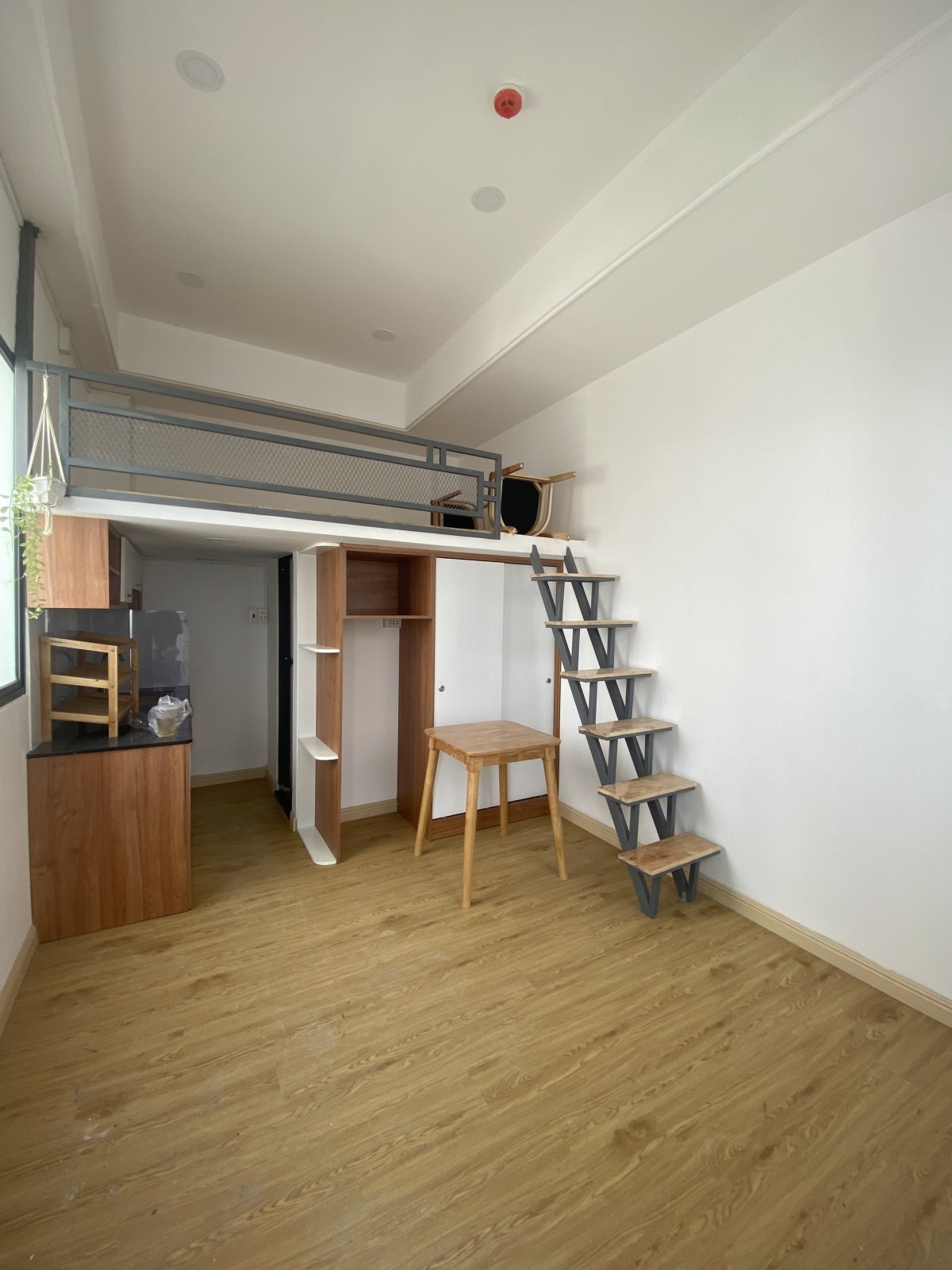 17 CHDV SIÊU DÒNG TIỀN 90TR/THÁNG - 129m2 (6.1×29.2) - 16.5 TỶ 10