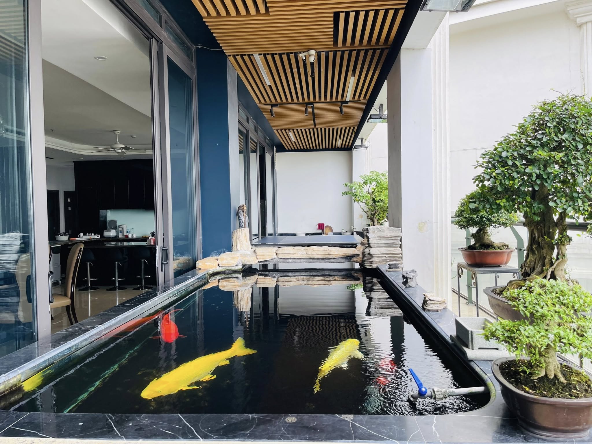 Đỉnh Cao Sống Thượng Lưu - Penthouse 500m² Aqua Central Trúc Bạch, Giá 105 Tỷ