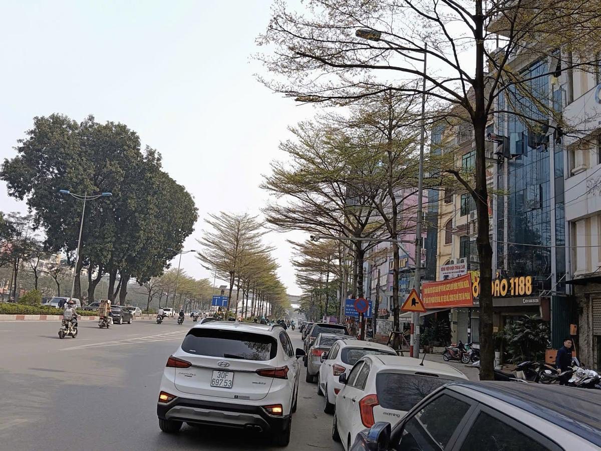 Mặt phố Láng ĐĐ 110m² MT 7m Lô góc 3 thoáng Vỉa hè rộng 10m Xây Building 68.6 tỷ 3