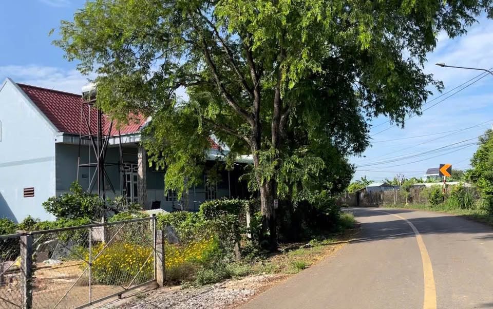 SỞ HỮU NGAY 1.000M² ĐẤT FULL HỒNG – GIÁ CHỈ 2 TỶ 3