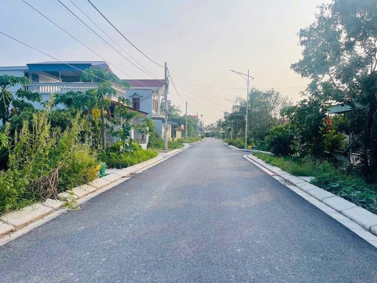 Bán đất khu đấu giá Đồng Rồi, xã Ngũ Đoan, Hải Phòng 3