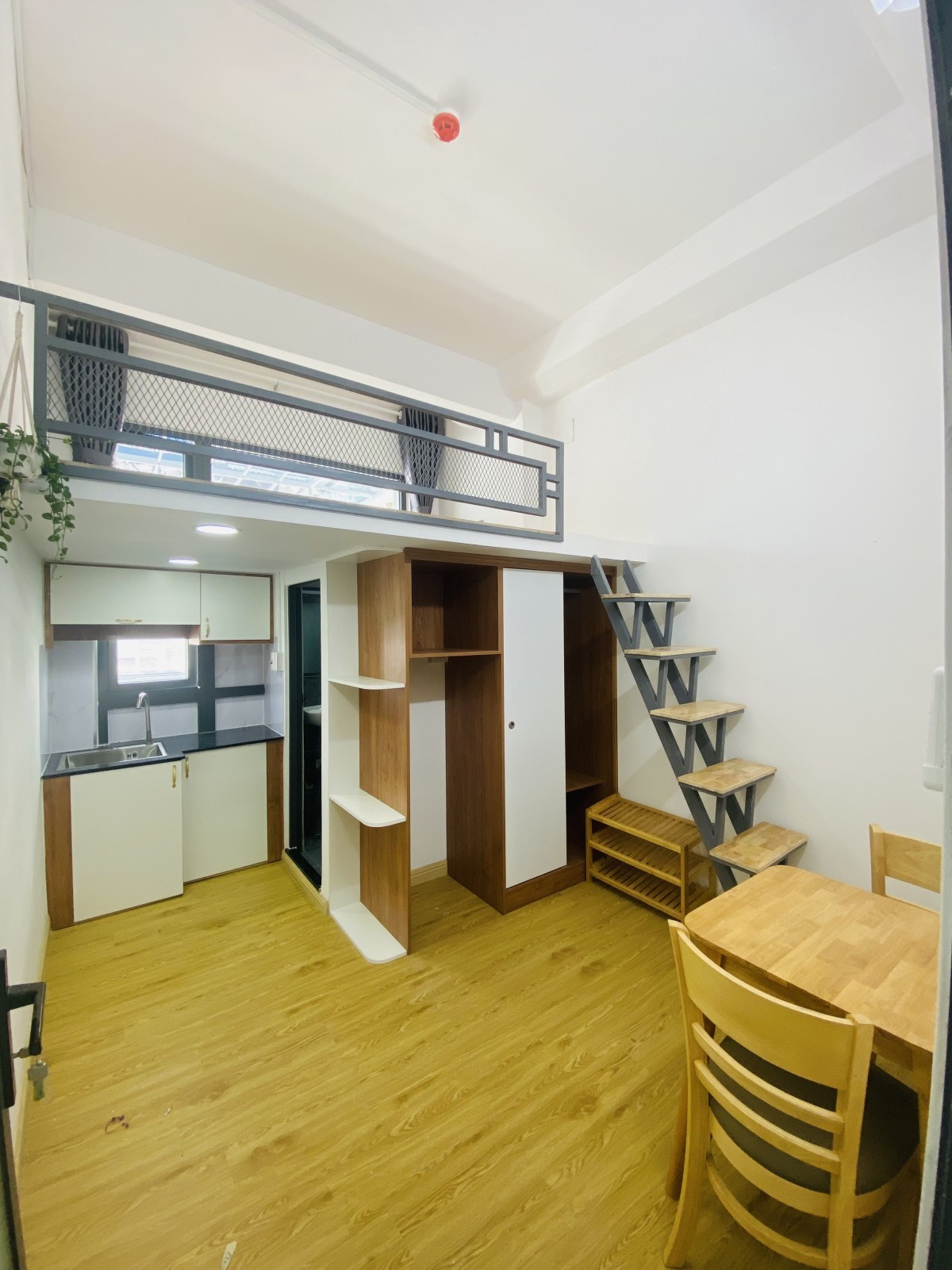 17 CHDV SIÊU DÒNG TIỀN 90TR/THÁNG - 129m2 (6.1×29.2) - 16.5 TỶ 11