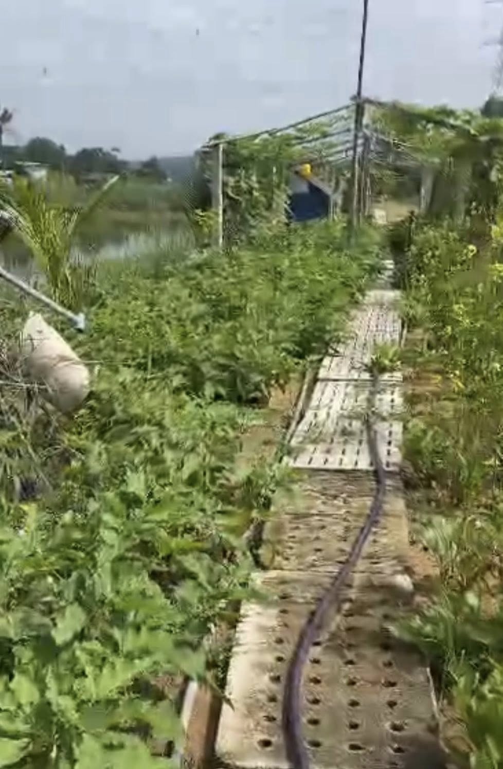 Bán Đất Bắc Sơn Trảng Bom Kinh Doanh Ăn Uống Hồ Câu Cá Gần Giáo Xứ Bùi Đệ 2