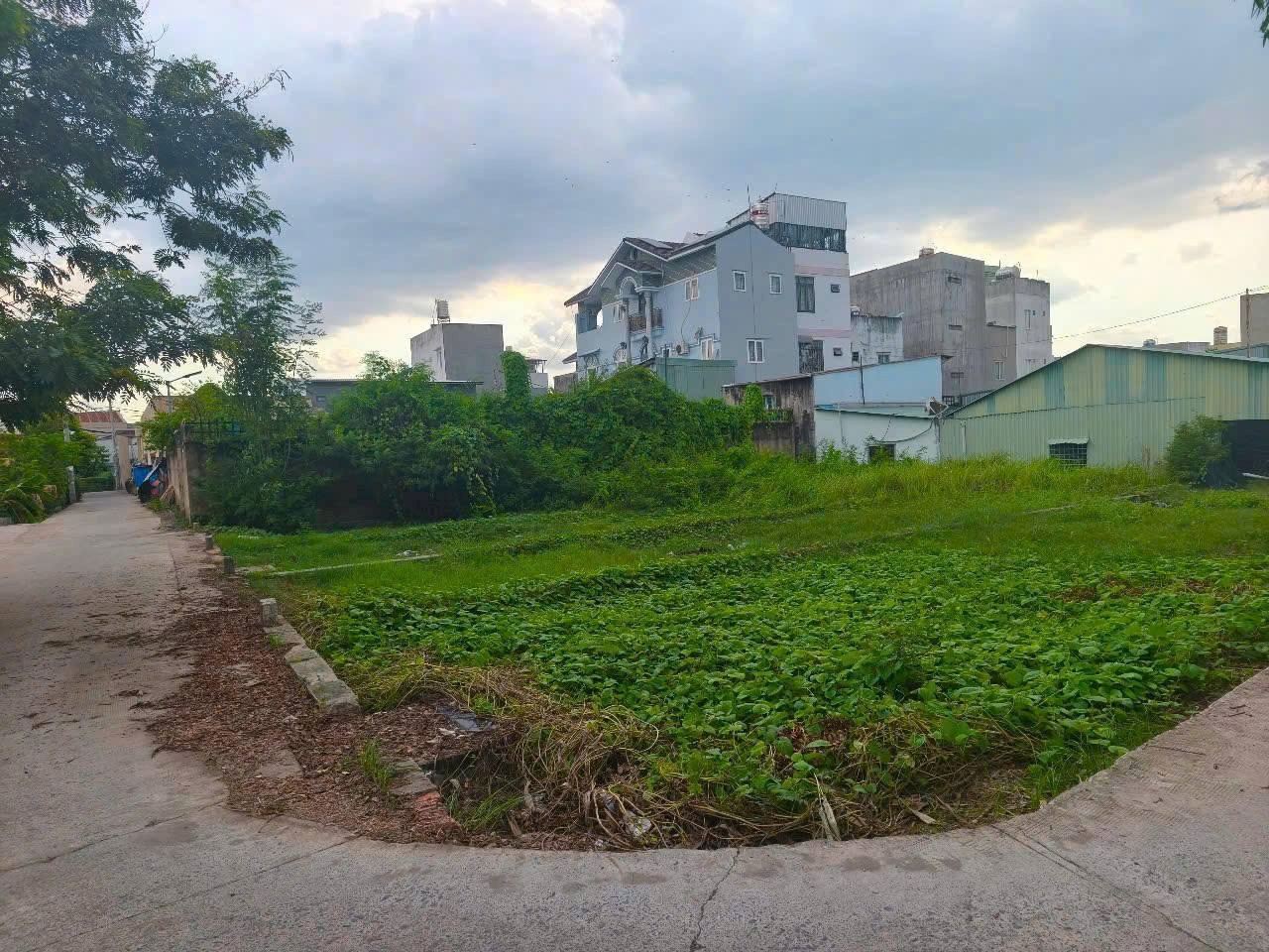 Cần bán Đất đường Bùi Thanh Khiết, Thị trấn Tân Túc, Diện tích 72m², Giá 750000000 Triệu 3