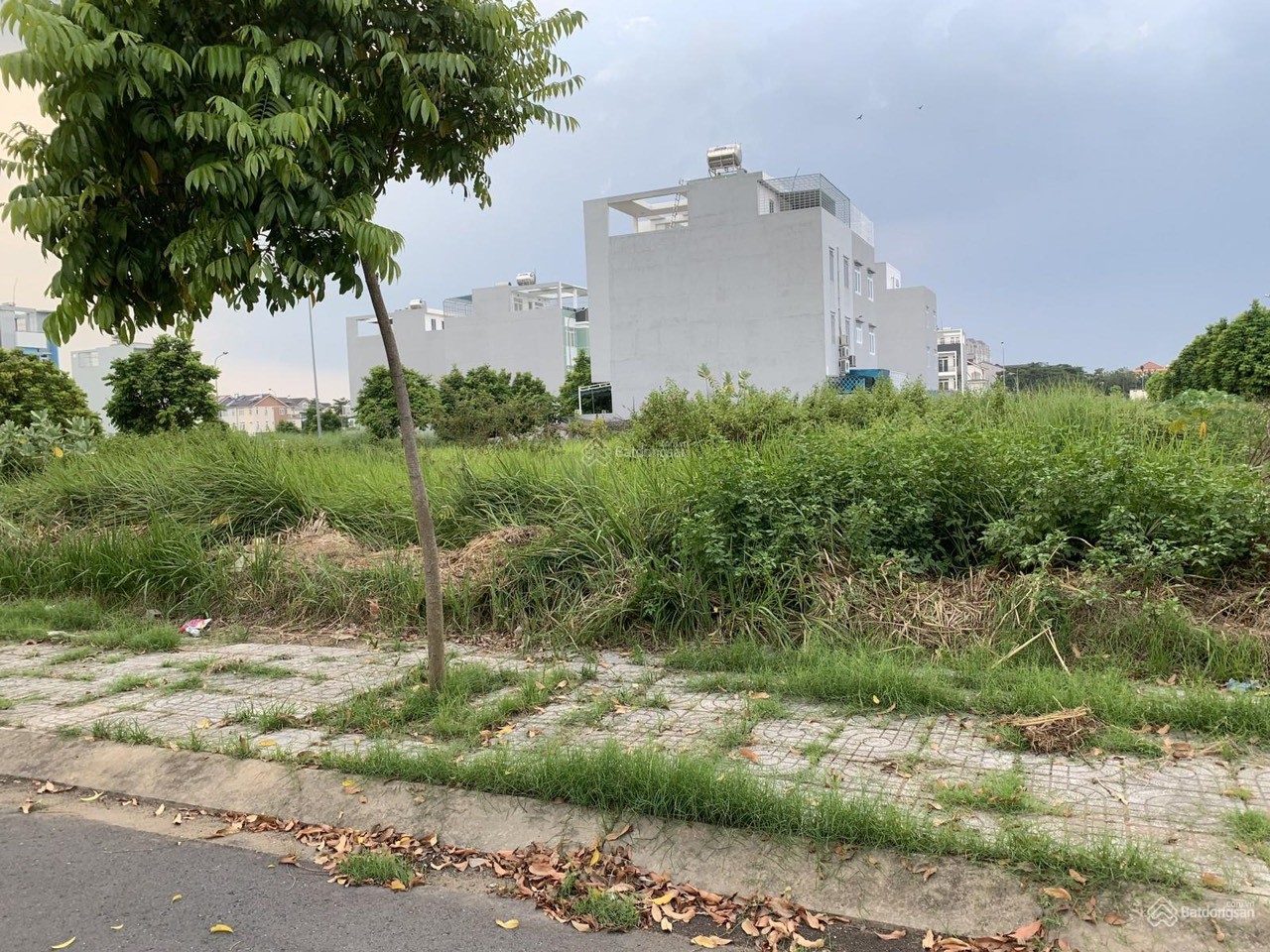 Cần bán Đất dự án Khu dân cư Sở Văn Hóa Thông Tin, Diện tích 85m², Giá 6.29 Tỷ 3
