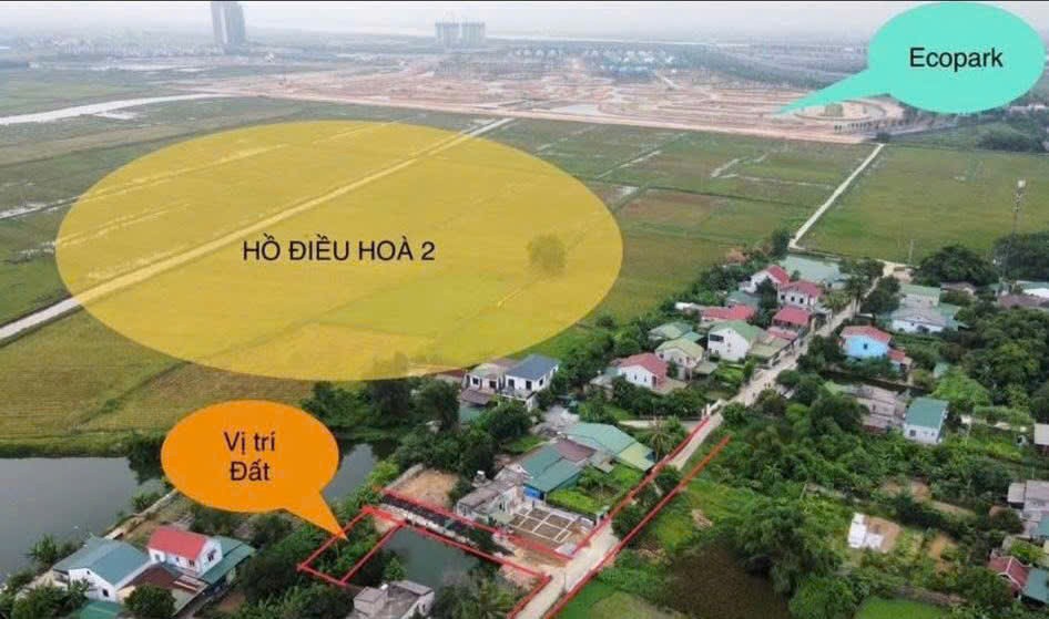 Đất Hưng Hòa sát Dự án Ecopark giá chỉ hơn 1 tỷ 2