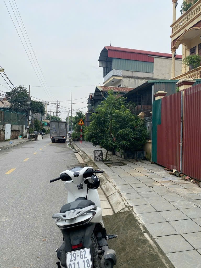 Cần bán Đất đường Thúy Lĩnh, Phường Lĩnh Nam, Diện tích 100m², Giá 14.8 Tỷ 2