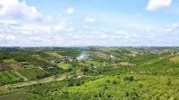 Cần bán Đất Bảo Lâm, Lâm Đồng, Diện tích 622m², Giá Thương lượng 4