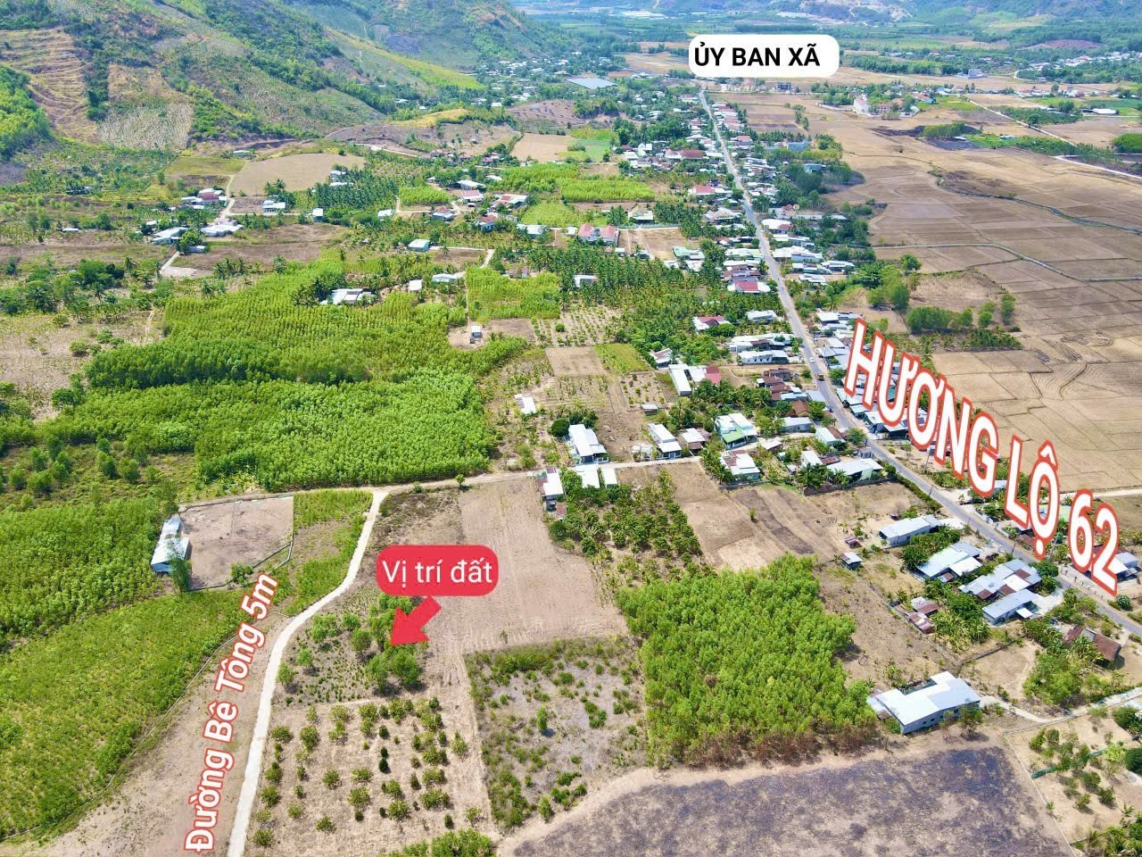 Bán đất vườn Diên Tân giá rẻ QH full thổ cư sát bên Hương Lộ 62 - ngay khu dân cư 2