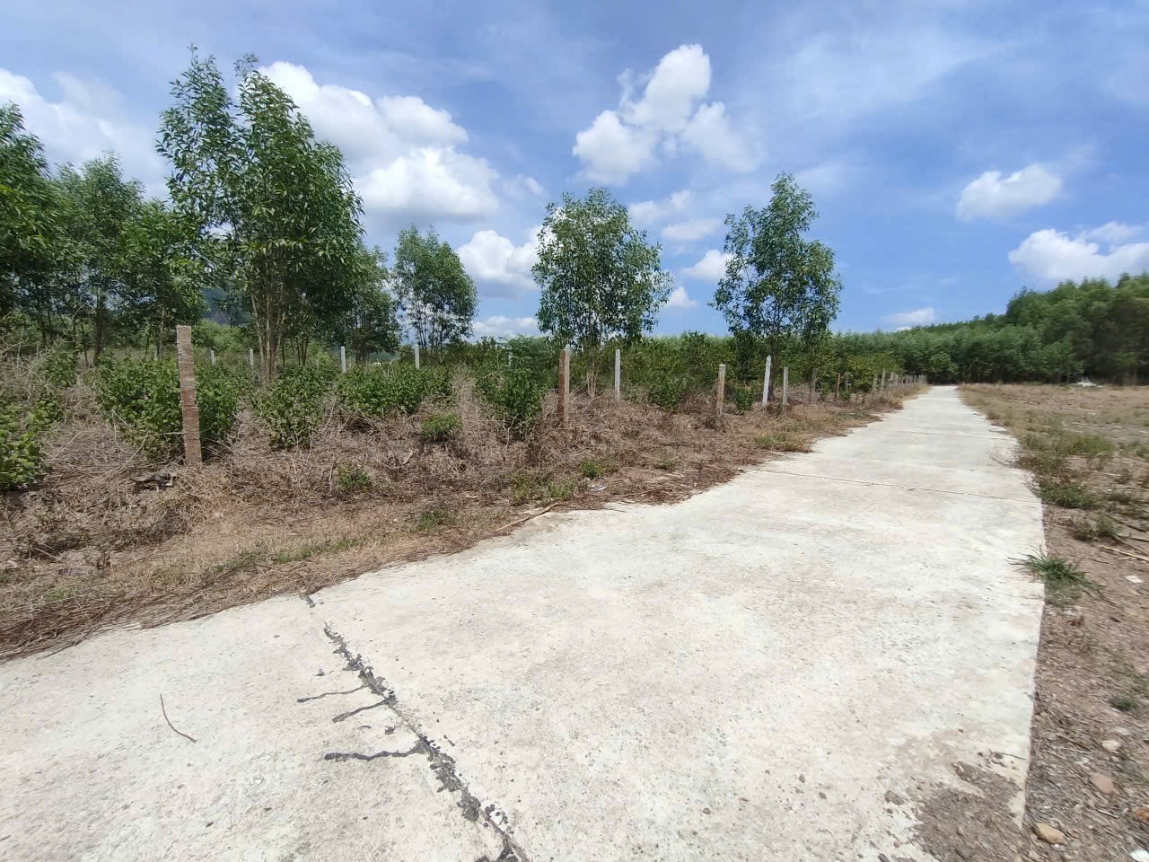 Bán đất vườn Diên Tân giá rẻ QH full thổ cư sát bên Hương Lộ 62 - ngay khu dân cư 5