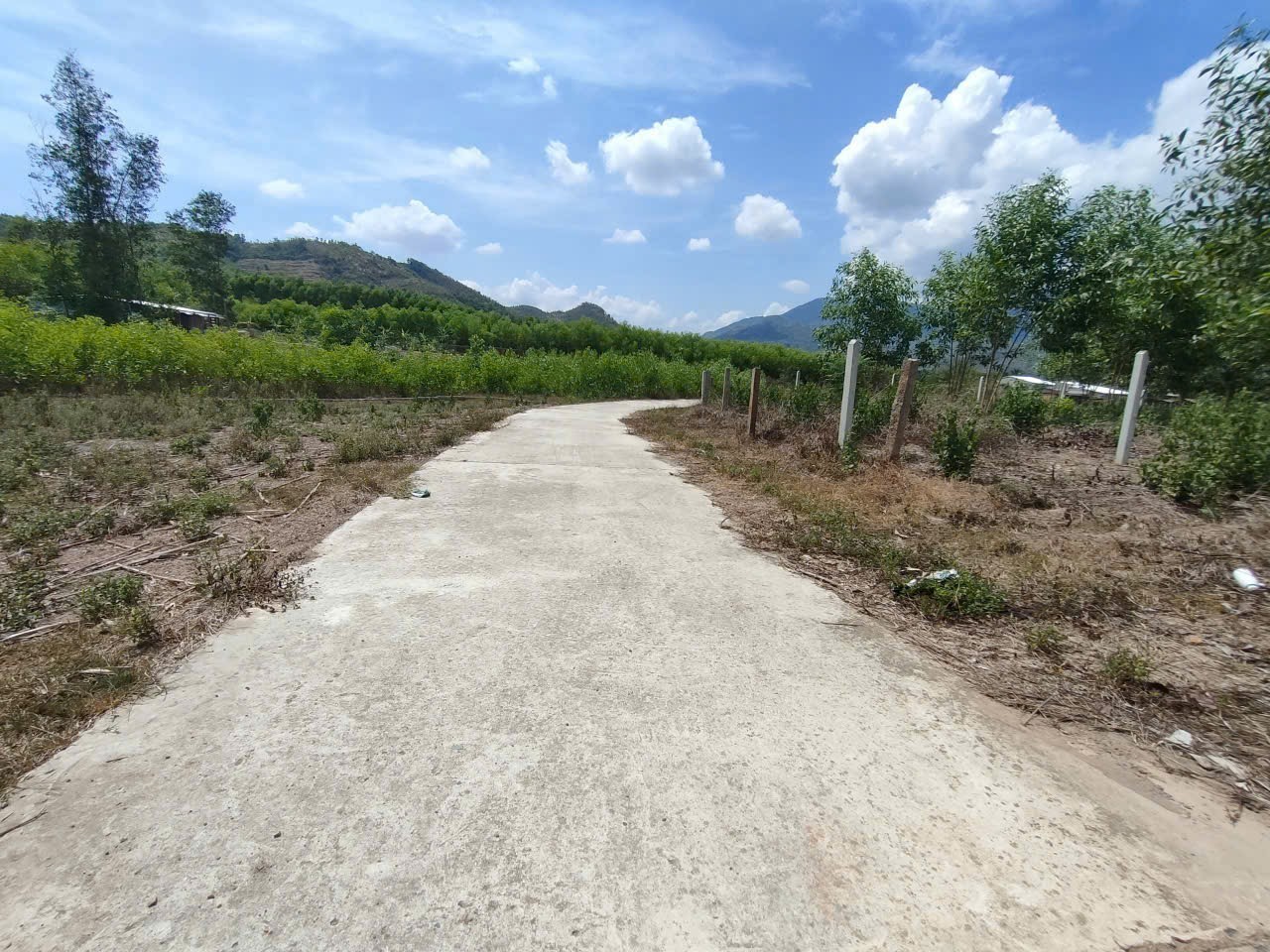 Bán đất vườn Diên Tân giá rẻ QH full thổ cư sát bên Hương Lộ 62 - ngay khu dân cư 6