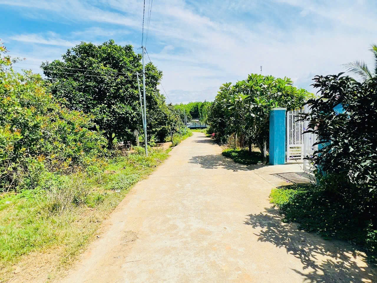 Bán đất Khánh Đông có thổ cư giá rẻ đường thông gần Tỉnh Lộ 8 2