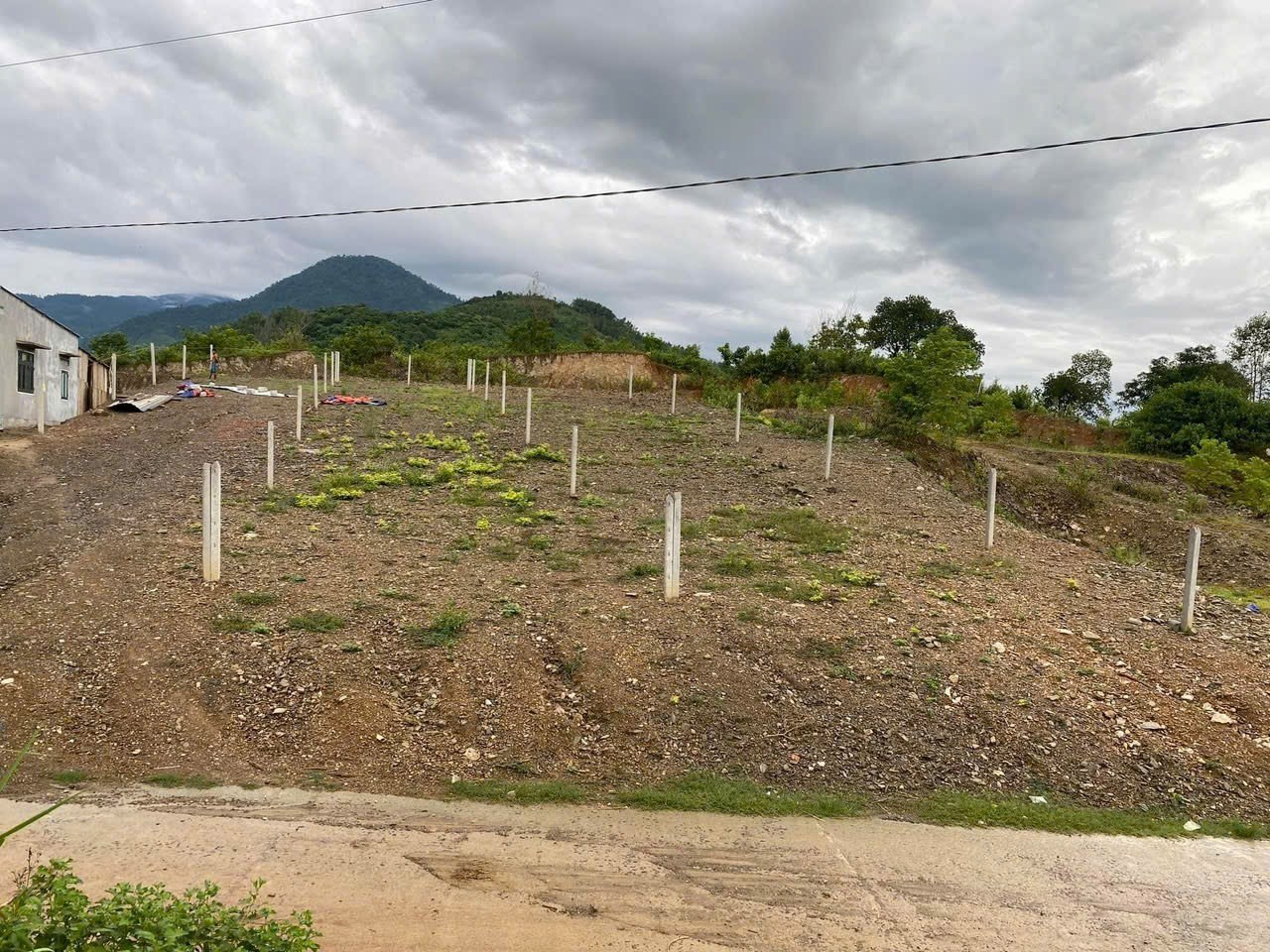 Bán đất Khánh Phú giá rẻ full thổ cư  sát bên trục đường Yangbay 2
