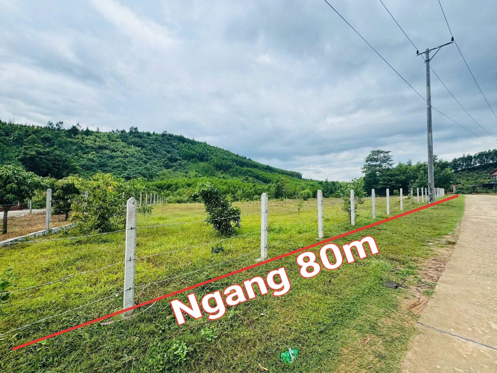 Bán đất Khánh Đông full thổ cư mặt tiền đường liên thôn bên hông chợ đi vào