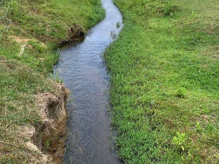 Bán đất vườn Diên Tân giáp suối nước chảy quanh năm sát bên hồ Cây Sung