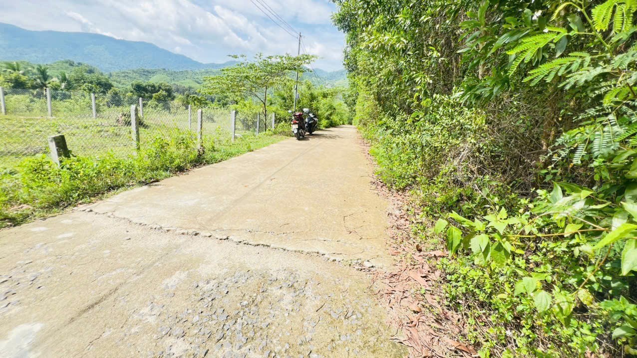 Bán đất vườn Diên Tân giáp suối nước chảy quanh năm sát bên hồ Cây Sung 2